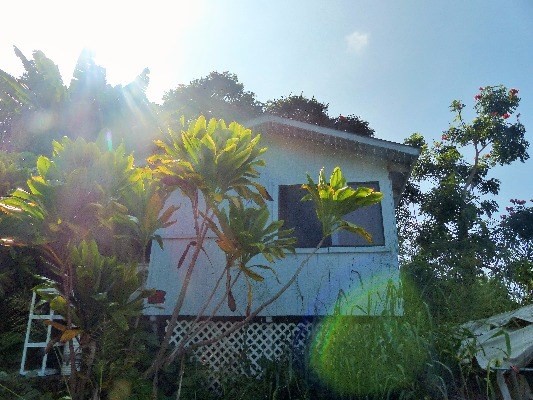 84-1127 Bruner Road Captain Cook, HI 96704 - Photo 21 of 25 a view of a yard with plants and a bench