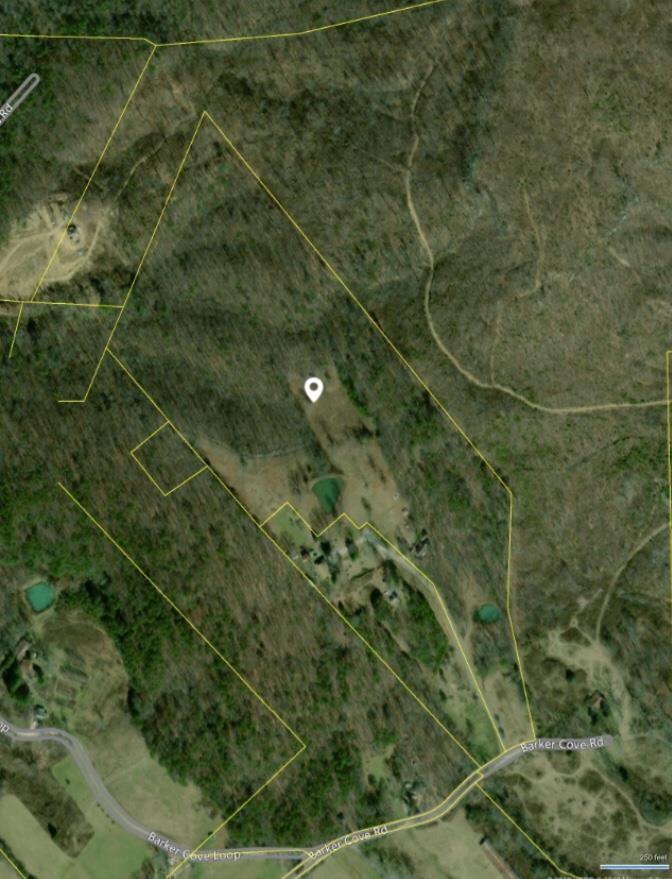 1513 Barker Road Palmer, TN 37365 - Photo 18 of 26 Gallery Image 18