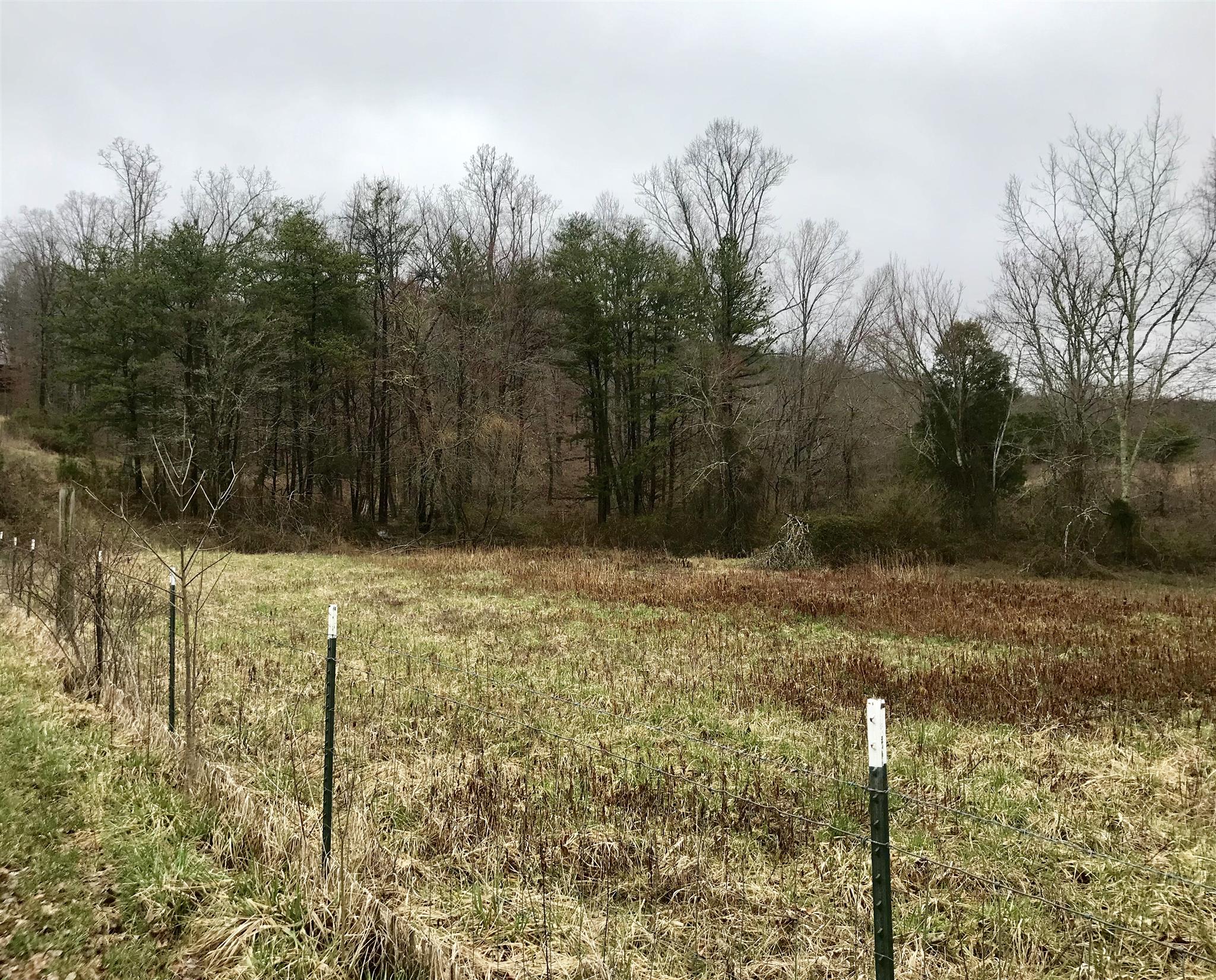1513 Barker Road Palmer, TN 37365 - Photo 20 of 26 Gallery Image 20