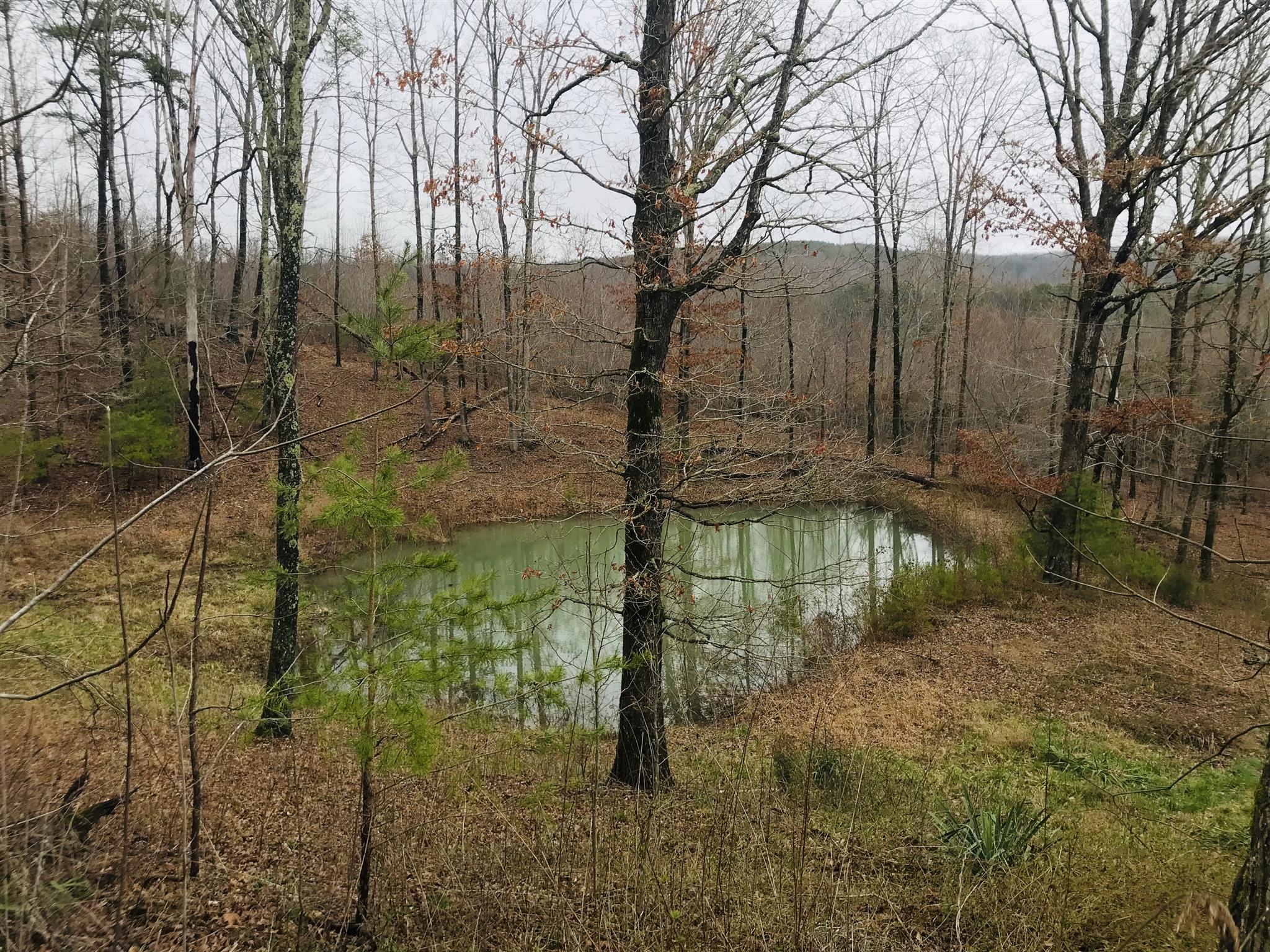 1513 Barker Road Palmer, TN 37365 - Photo 21 of 26 Gallery Image 21