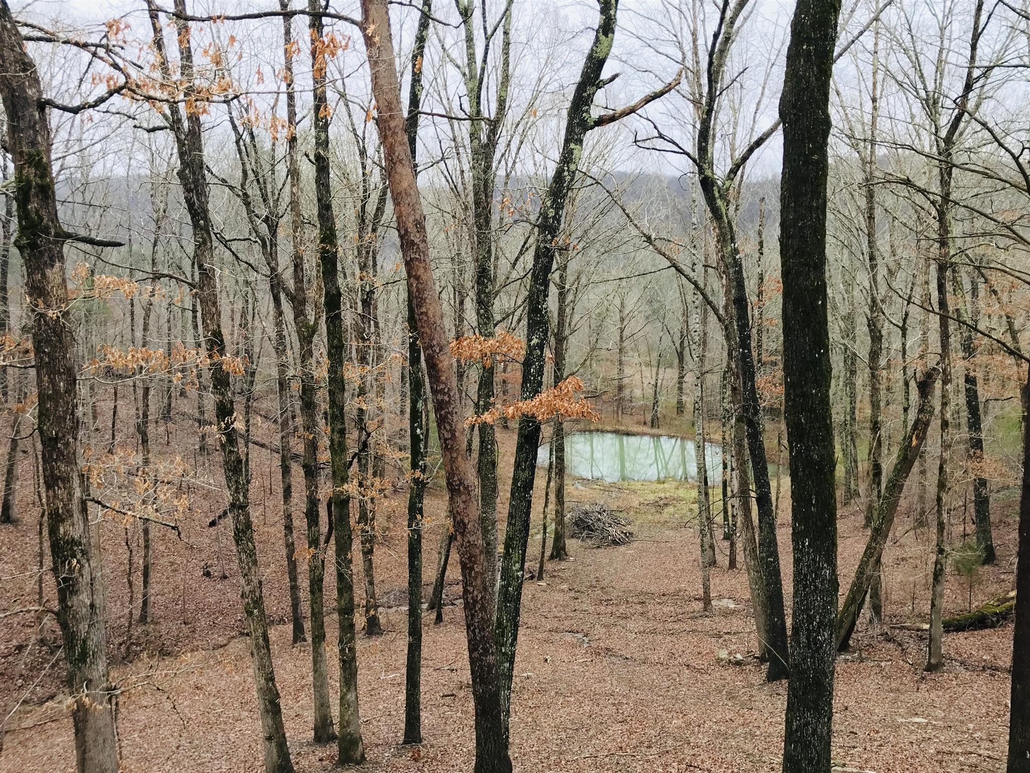 1513 Barker Road Palmer, TN 37365 - Photo 25 of 26 Gallery Image 25