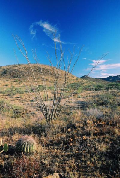 95 Poorwill Canyon Road Rio Rico, AZ 85648 - Photo 3 of 9