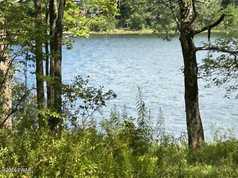 Lot R-c2 Spruce Lake Road Thompson, PA 18465 - Photo 19 of 20