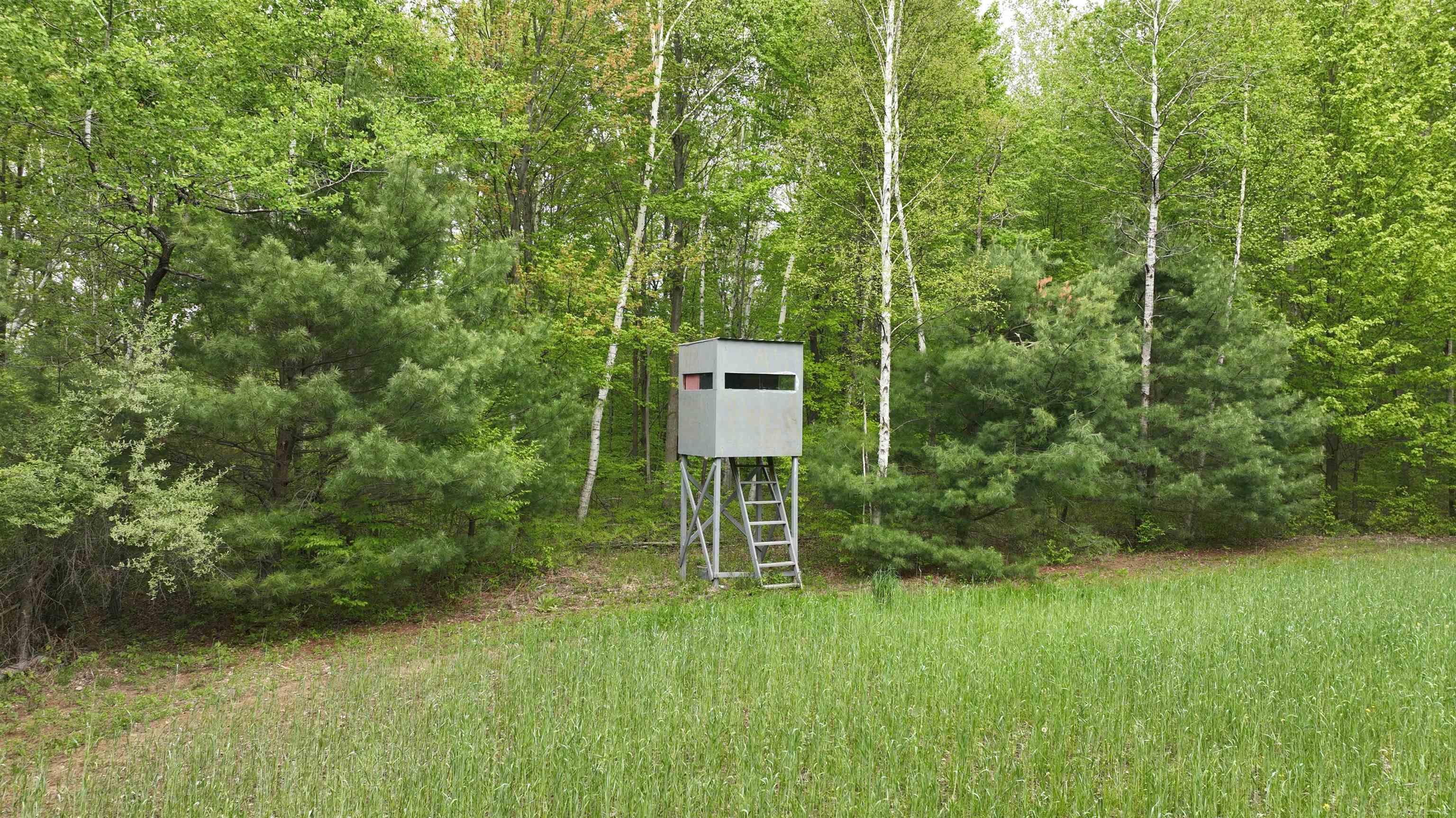 V/l Waltan Road Vassar, MI 48768 - Photo 4 of 21 Gallery Image 4