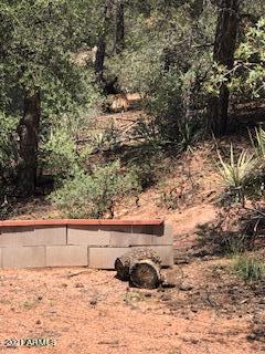 606 North Maranatha Road Payson, AZ 85541 - Photo 17 of 17 Can you see the elk?