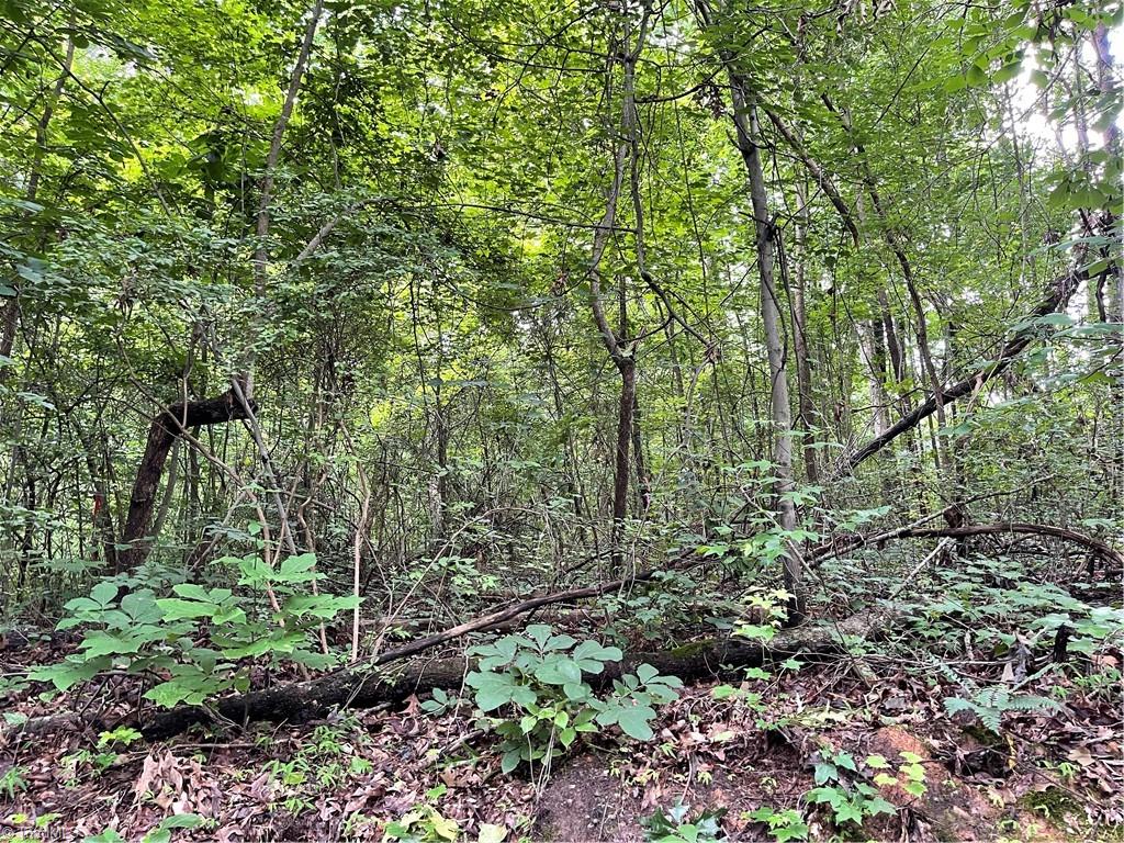 0 Cumby Road Trinity, NC 27370 - Photo 2 of 2