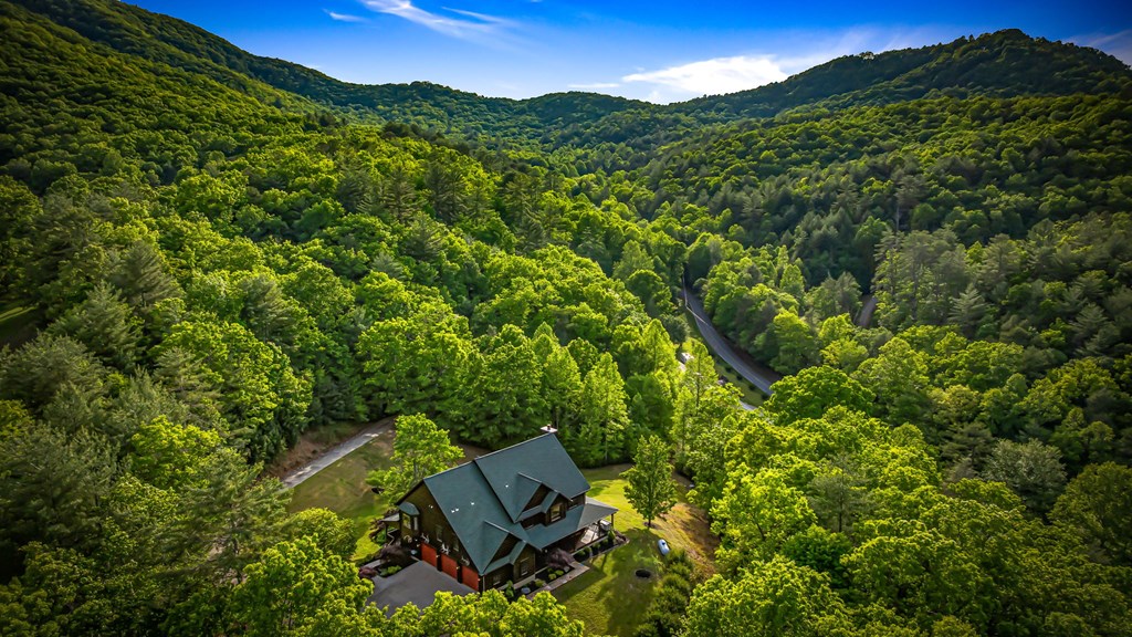2007 Pine Log Church Road Brasstown, NC 28902 - Photo 17 of 100