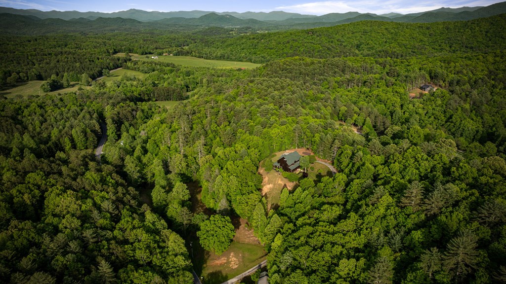 2007 Pine Log Church Road Brasstown, NC 28902 - Photo 18 of 100