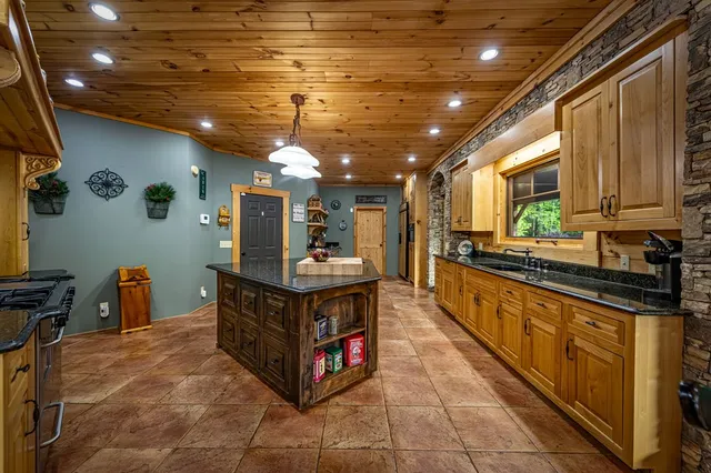 a view of a garden with a tree