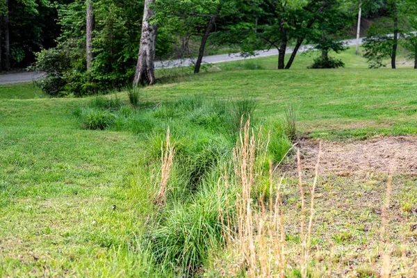 $1,050,000 | 2007 Pine Log Church Road, Brasstown, NC 28902