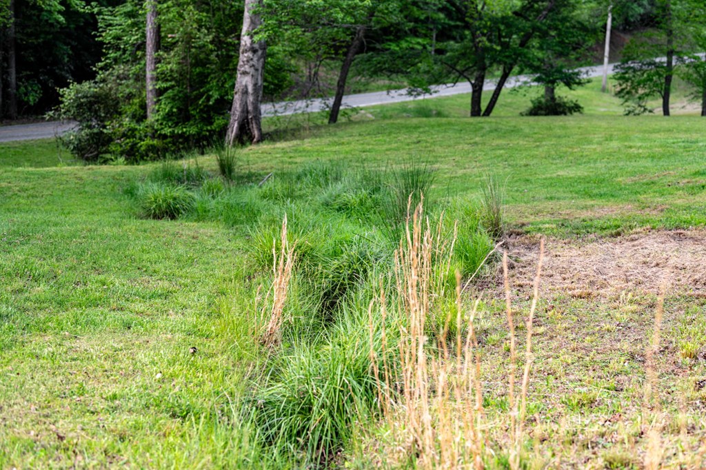 2007 Pine Log Church Road Brasstown, NC 28902 - Photo 87 of 100