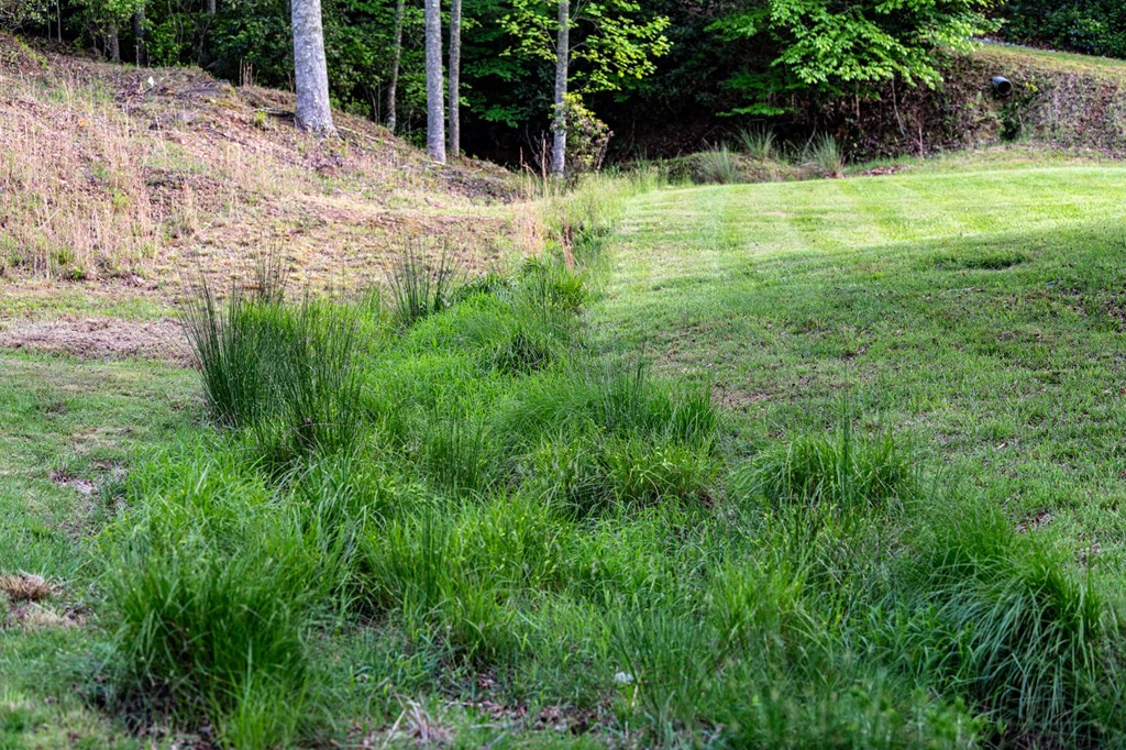 2007 Pine Log Church Road Brasstown, NC 28902 - Photo 89 of 100
