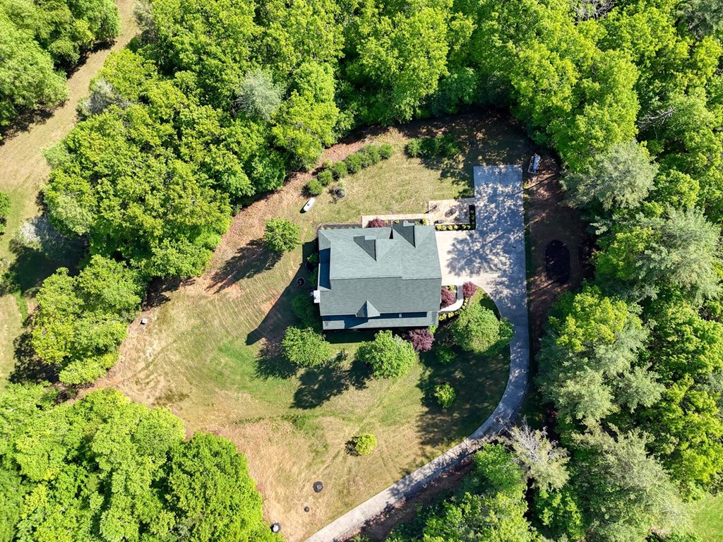 2007 Pine Log Church Road Brasstown, NC 28902 - Photo 92 of 100