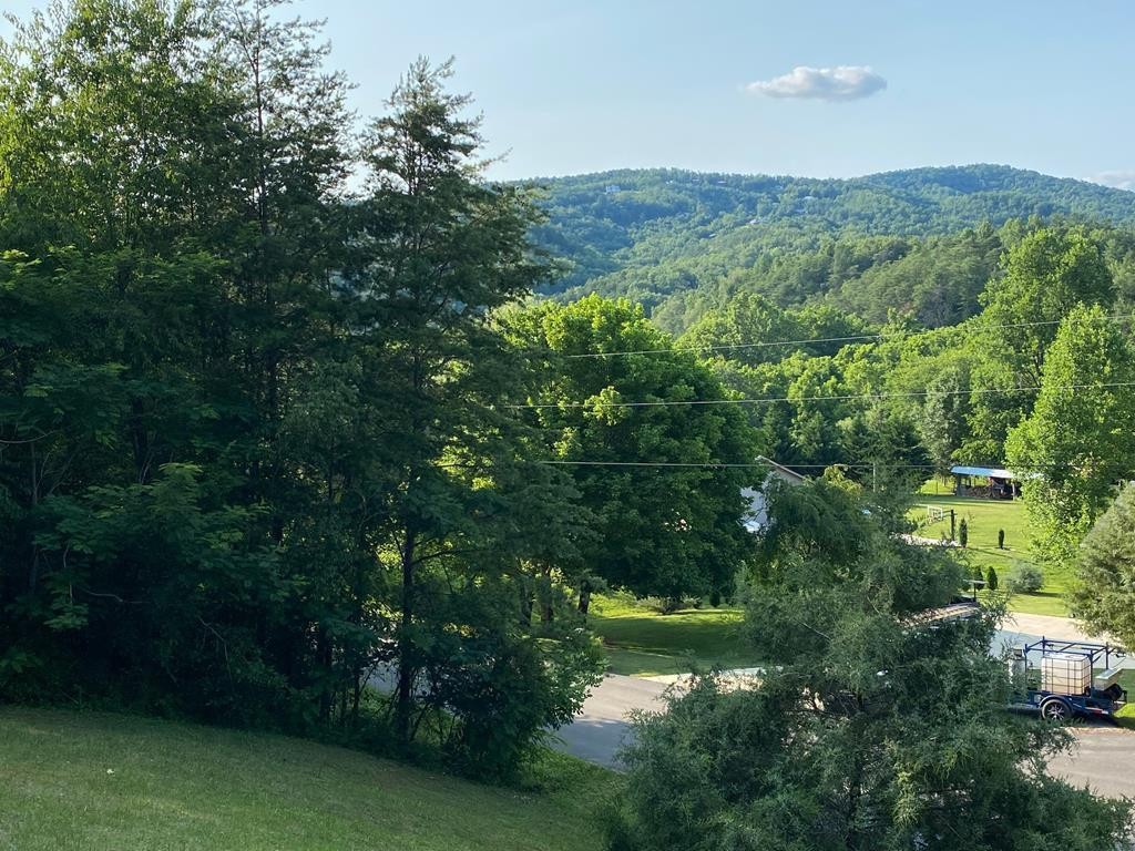 0 Jason Place Sevierville, TN 37876 - Photo 1 of 7