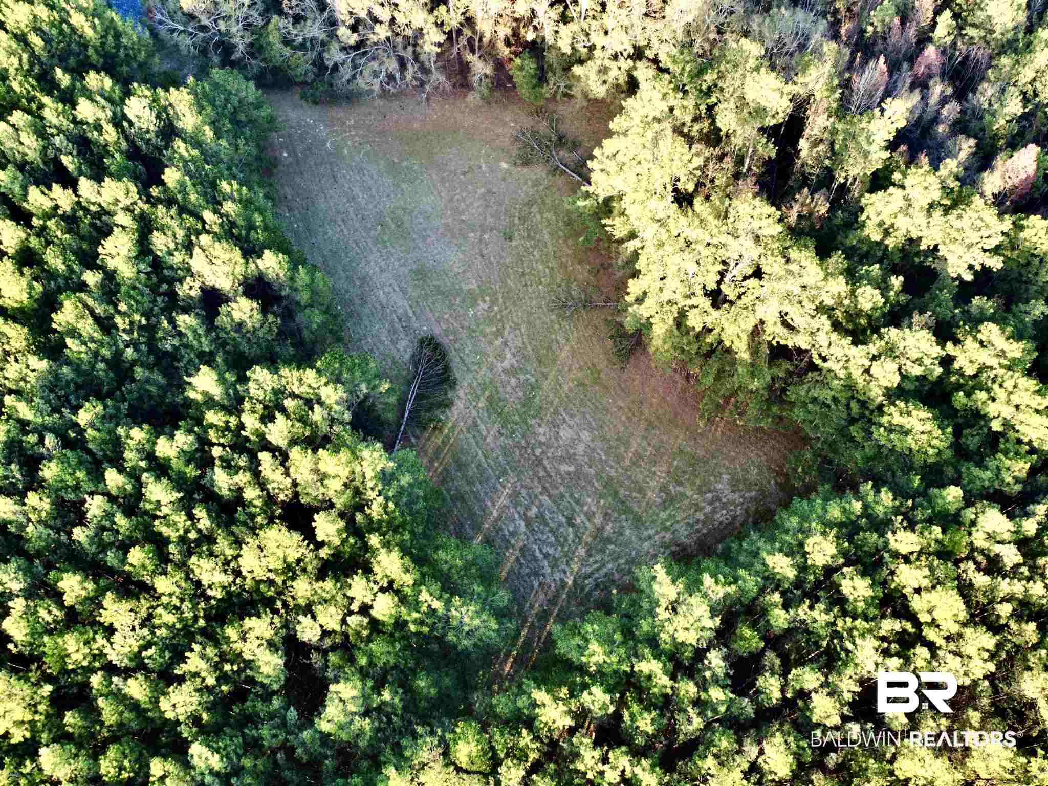 0 Country Road Fruitdale, AL 36539 - Photo 36 of 47