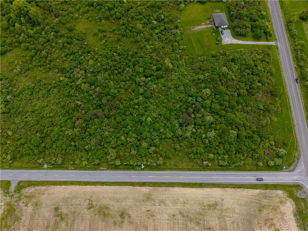 Rock Spring Hill Road Dansville, NY 14437 - Photo 19 of 20