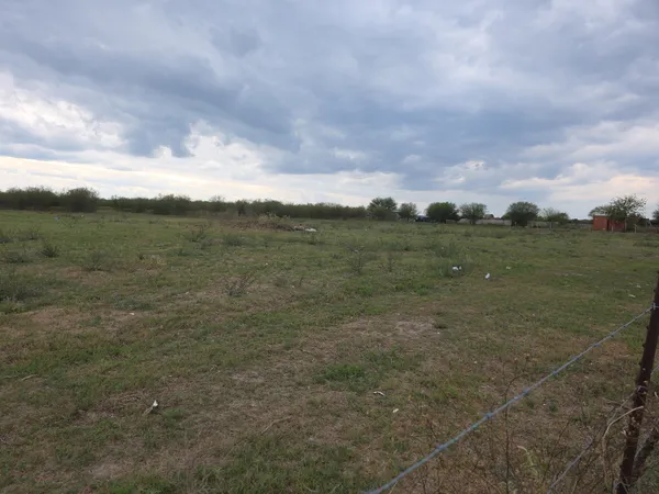 a view of a field with an ocean