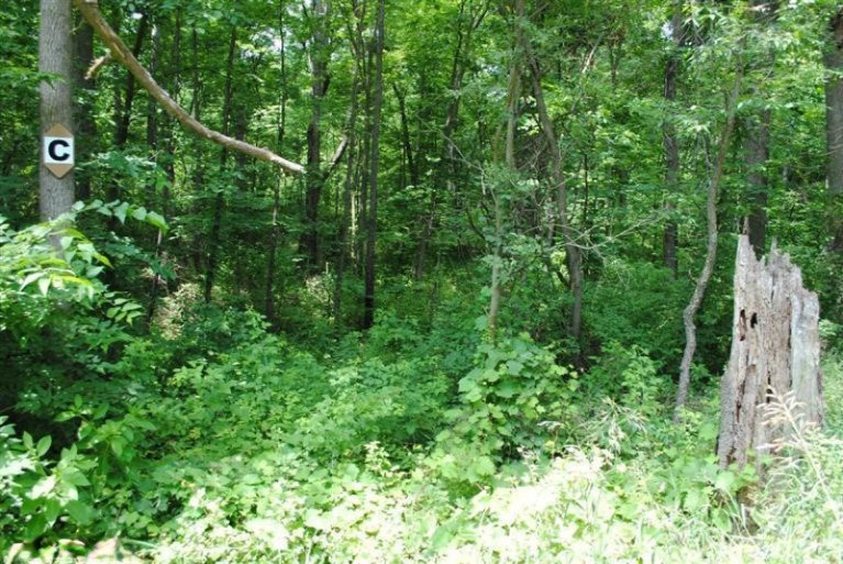 1789 Bender Road Middleville, MI 49333 - Photo 1 of 2 Primary Photo