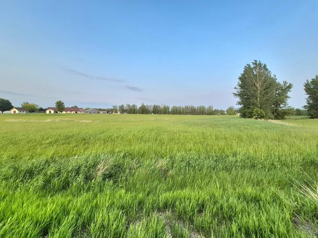 $825,000 | 1-xxx Frenzel Drive, Arlington, MN 55307