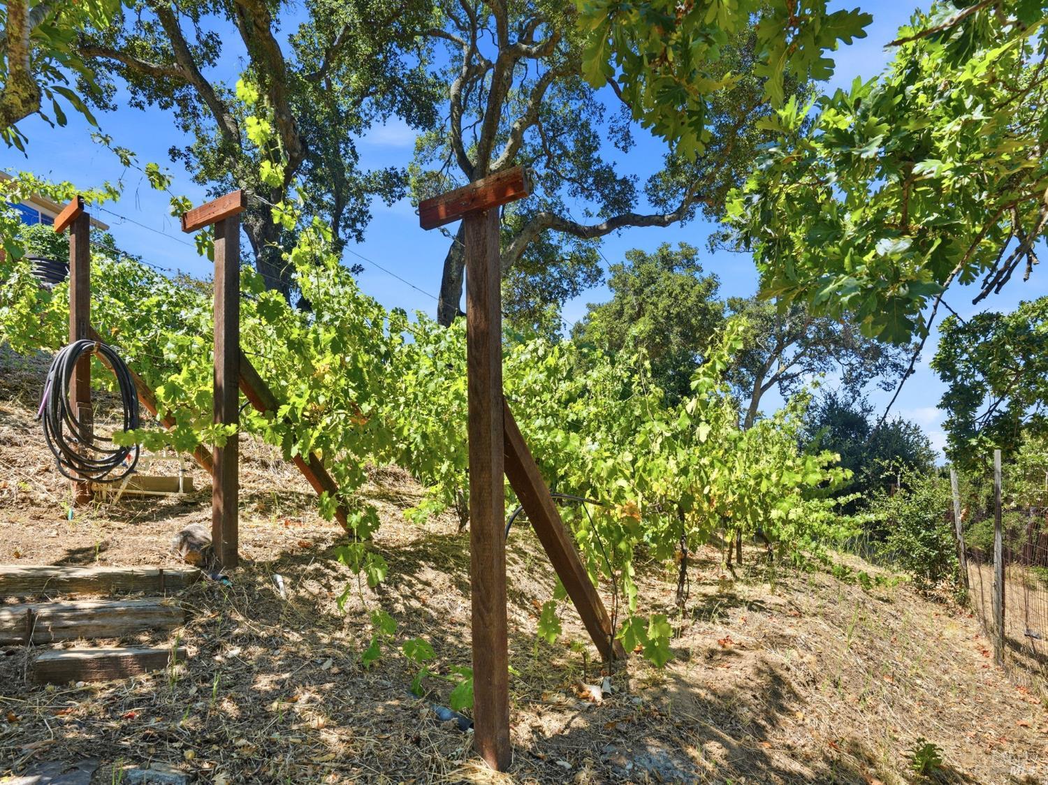 31 Roca Court Novato, CA 94947 - Photo 35 of 55