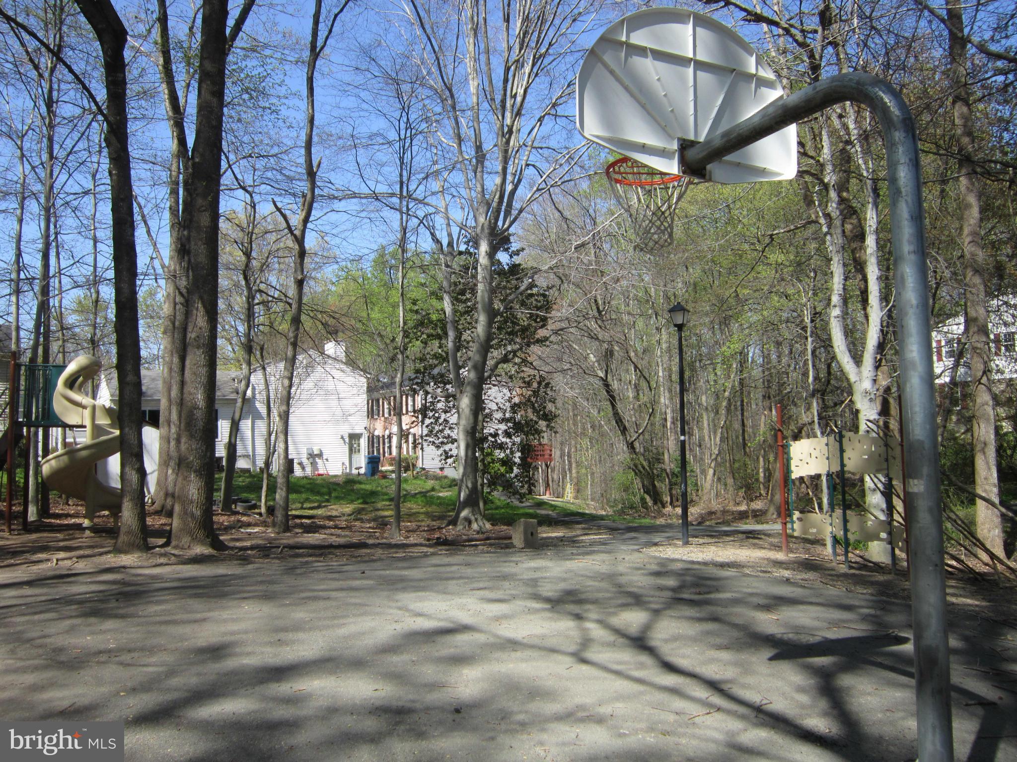 8587 Tyrolean Way Springfield, VA 22153 - Photo 29 of 30 a view of road and trees