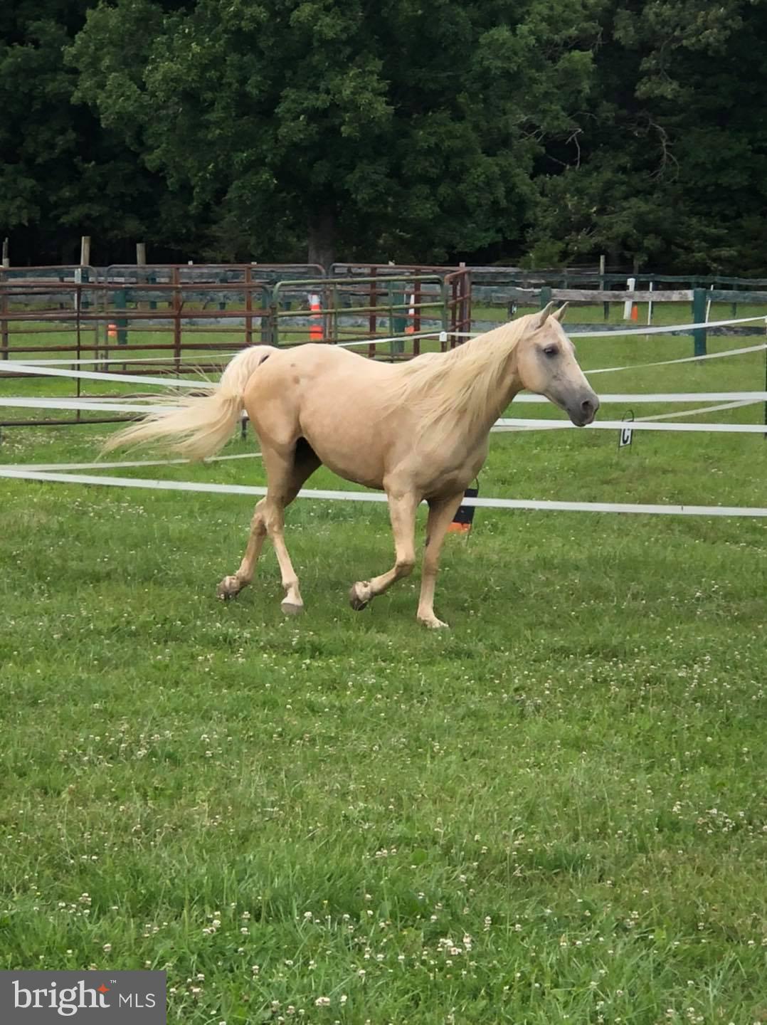 23114 Maddens Tavern Road Stevensburg, VA 22741 - Photo 1 of 66 Gallery Image 1