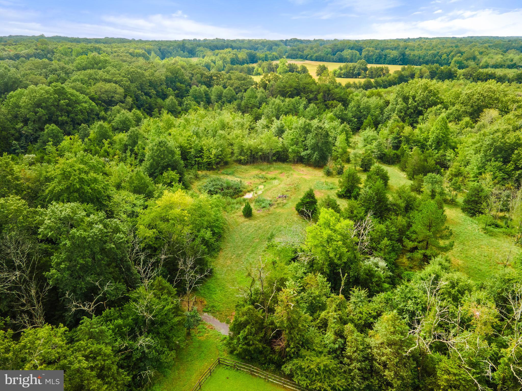 23114 Maddens Tavern Road Stevensburg, VA 22741 - Photo 34 of 66 Lots of wooded trails