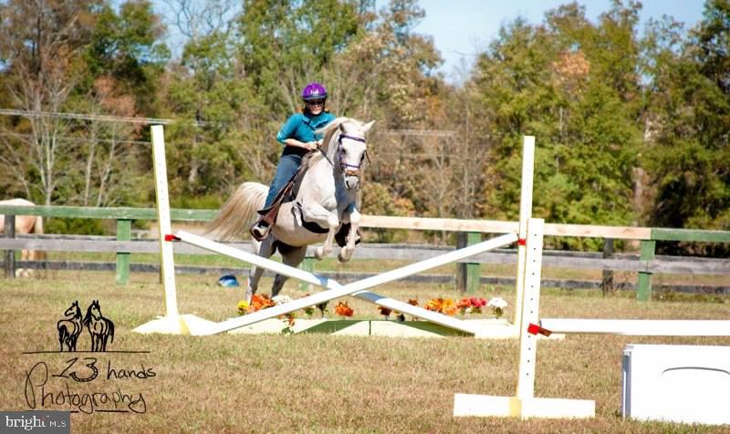 23114 Maddens Tavern Road Stevensburg, VA 22741 - Photo 54 of 66 Gallery Image 54