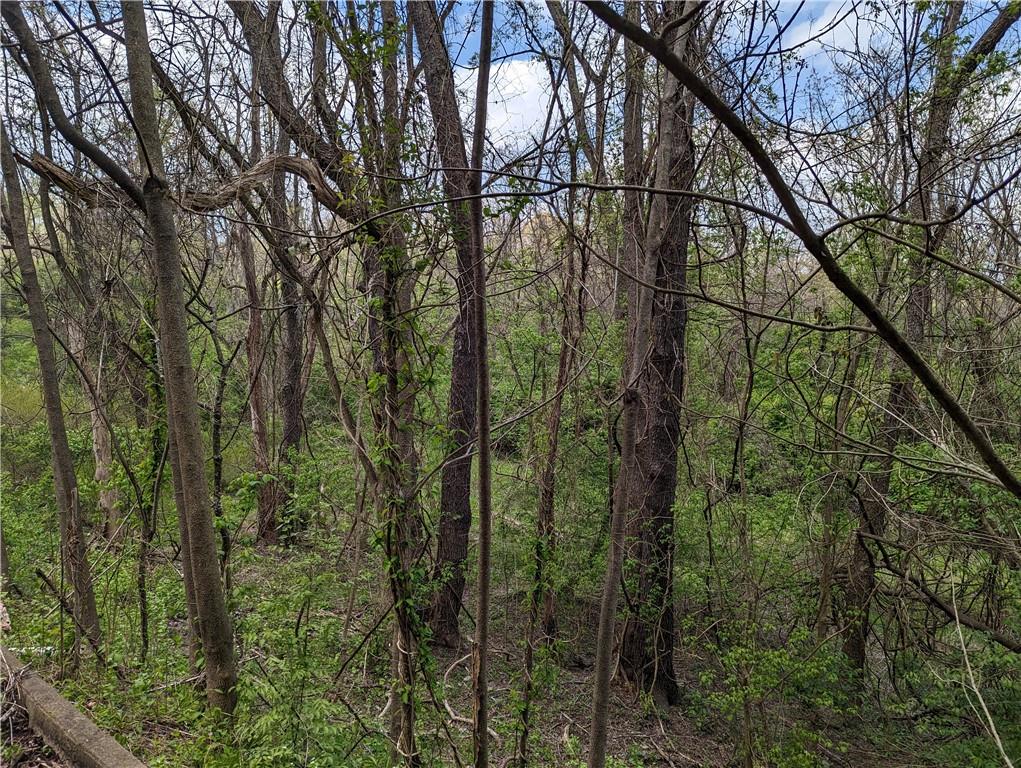 3326 New England Road West Mifflin, PA 15122 - Photo 11 of 12 a view of forest