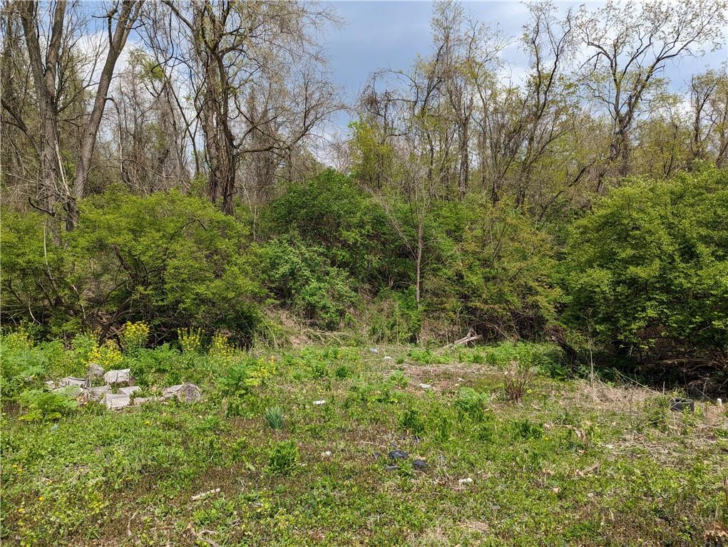 3326 New England Road West Mifflin, PA 15122 - Photo 6 of 12 a view of a lush green forest