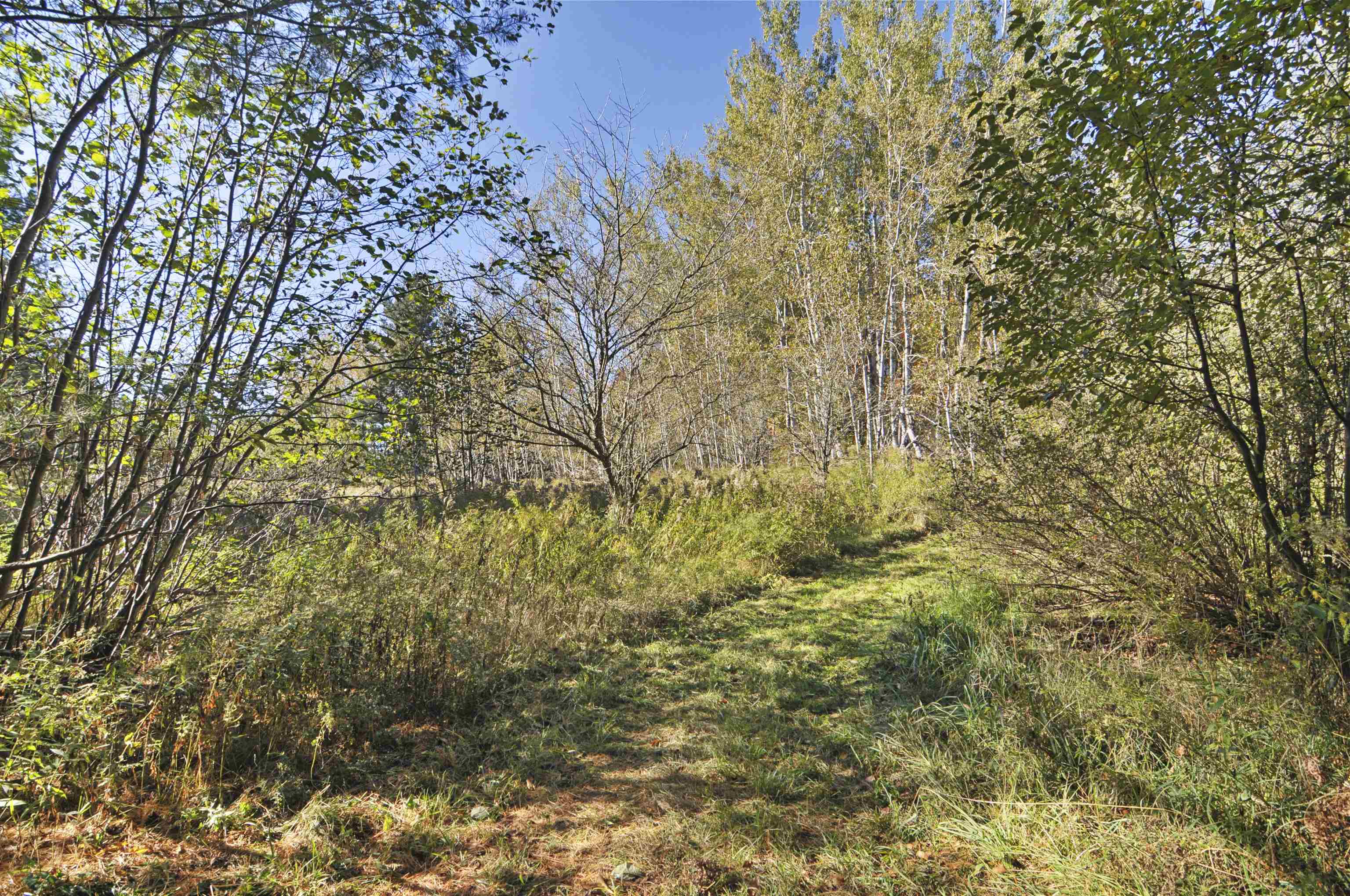 8780 30 1/2 Road Cadillac, MI 49601 - Photo 60 of 82