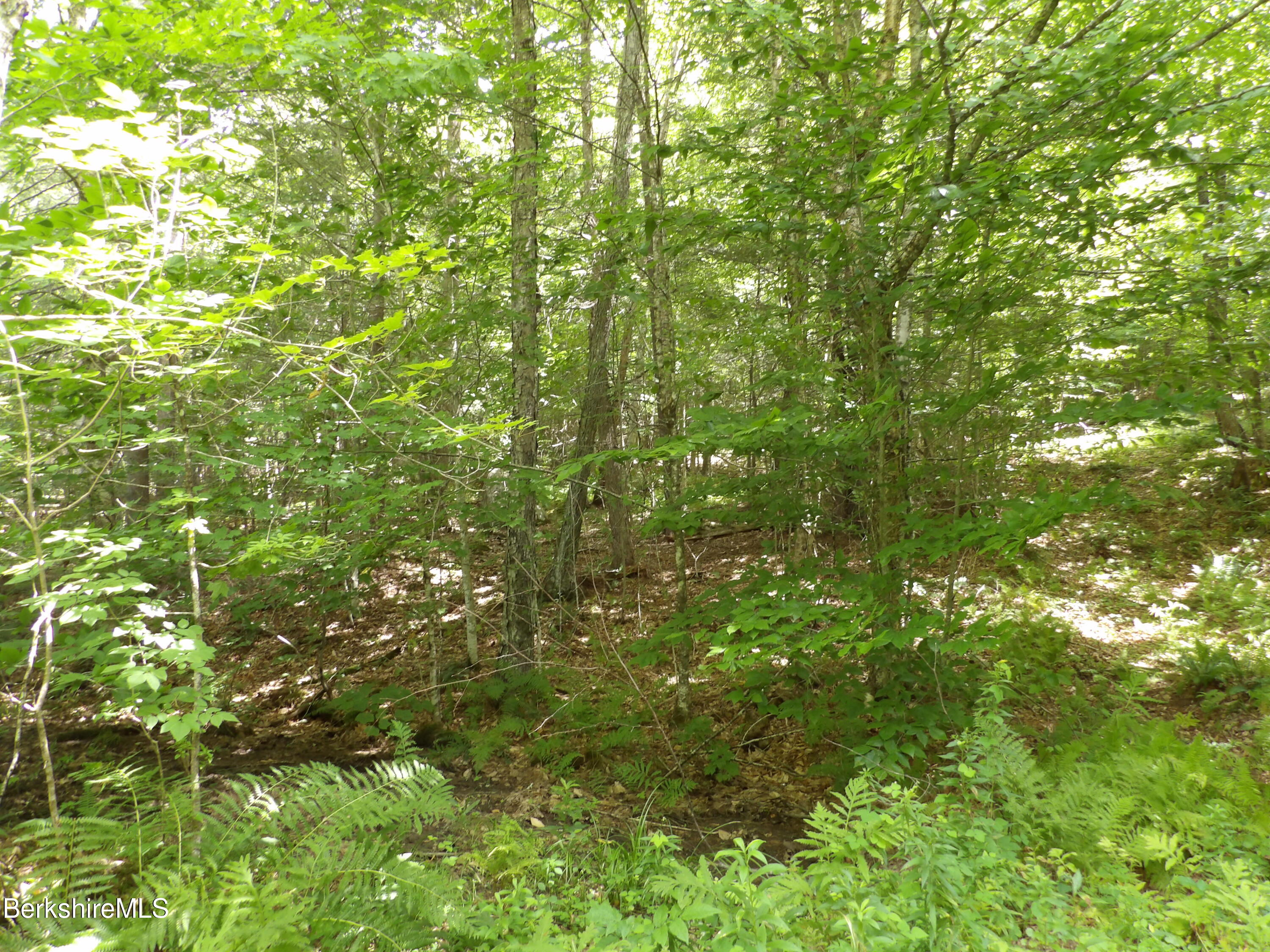 Avery Brook Road Charlemont, MA 01346 - Photo 9 of 19 ABR7