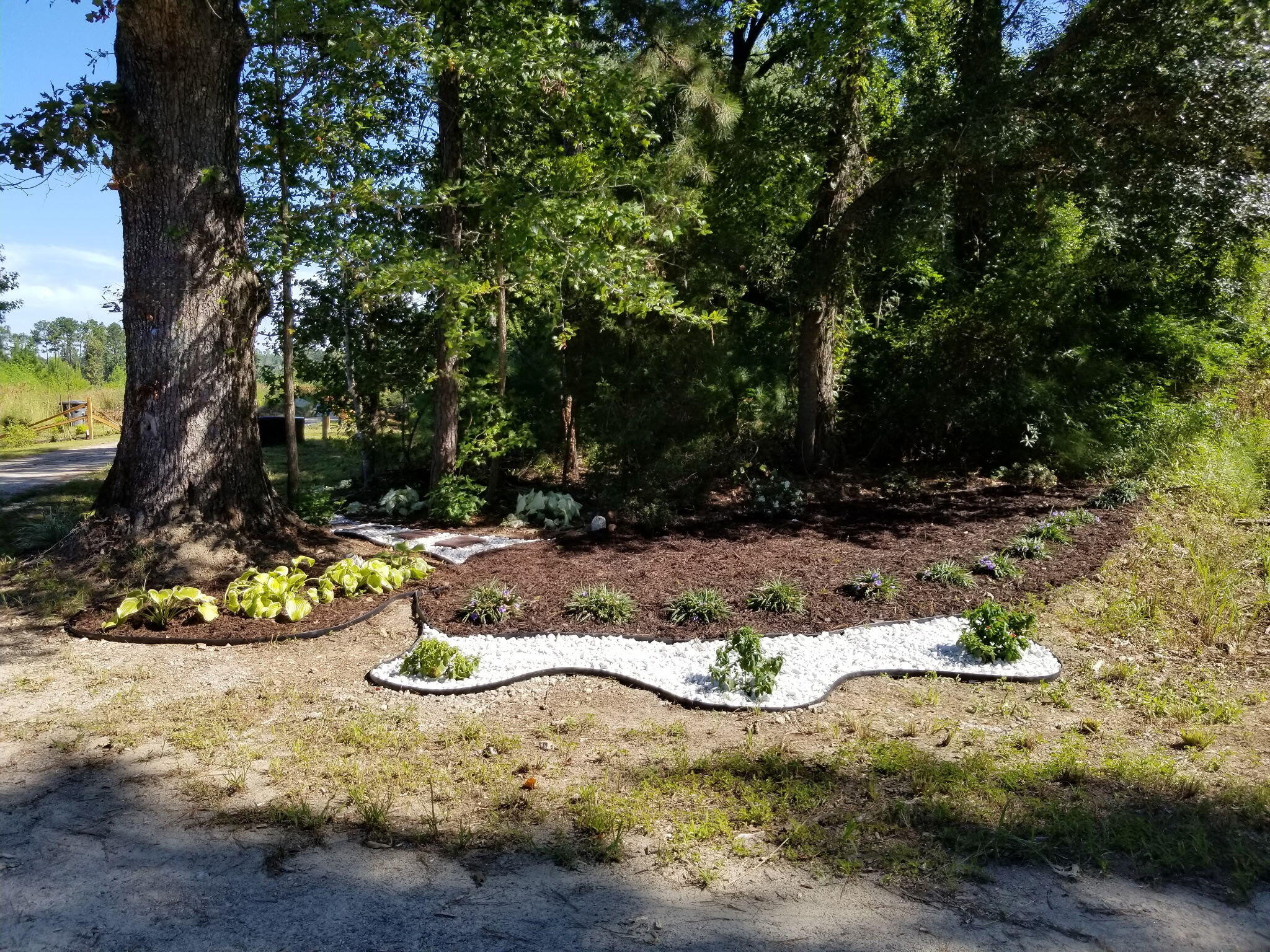 0 Hill Branch Road Ridgeville, SC 29472 - Photo 3 of 9 Road Frontage