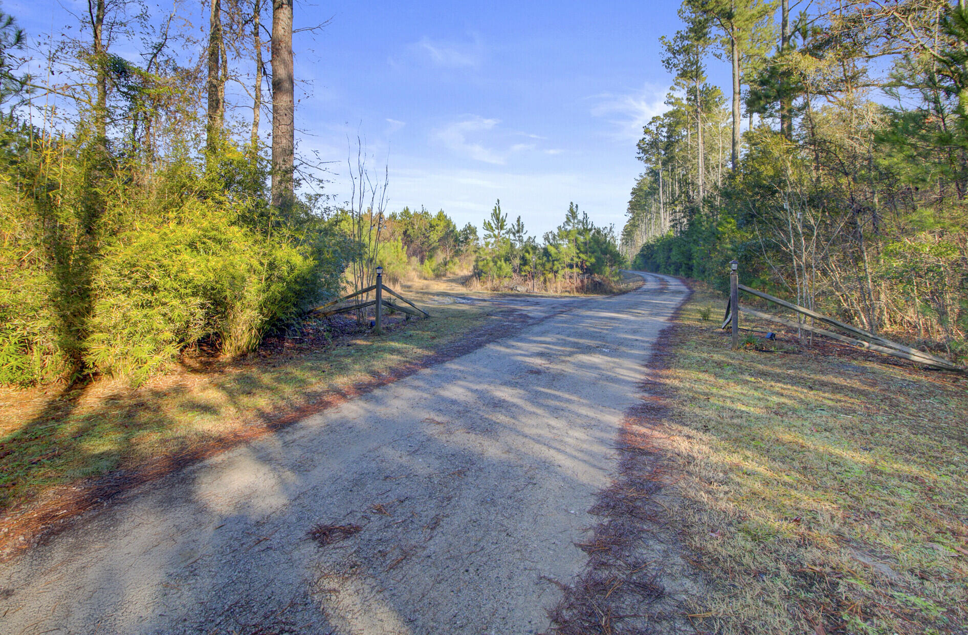 0 Hill Branch Road Ridgeville, SC 29472 - Photo 5 of 9 Driveway