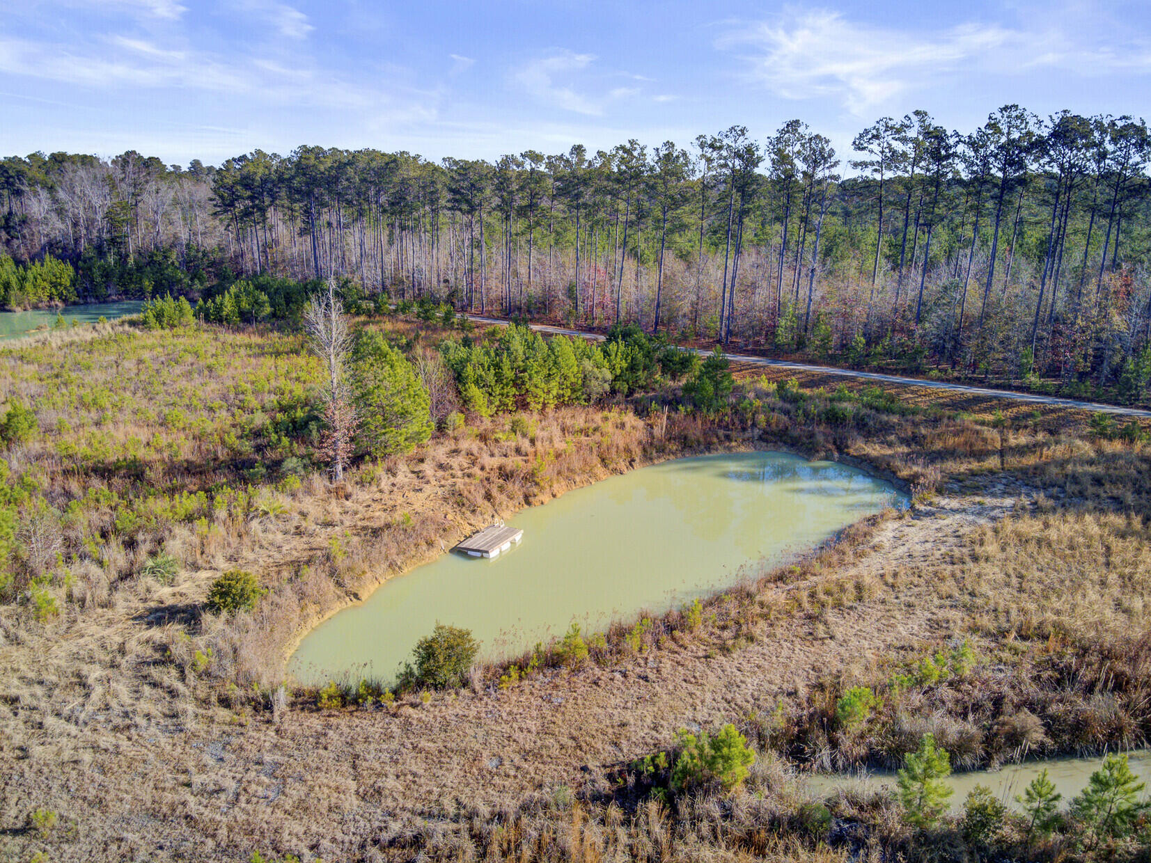 0 Hill Branch Road Ridgeville, SC 29472 - Photo 6 of 9 Aerial Views