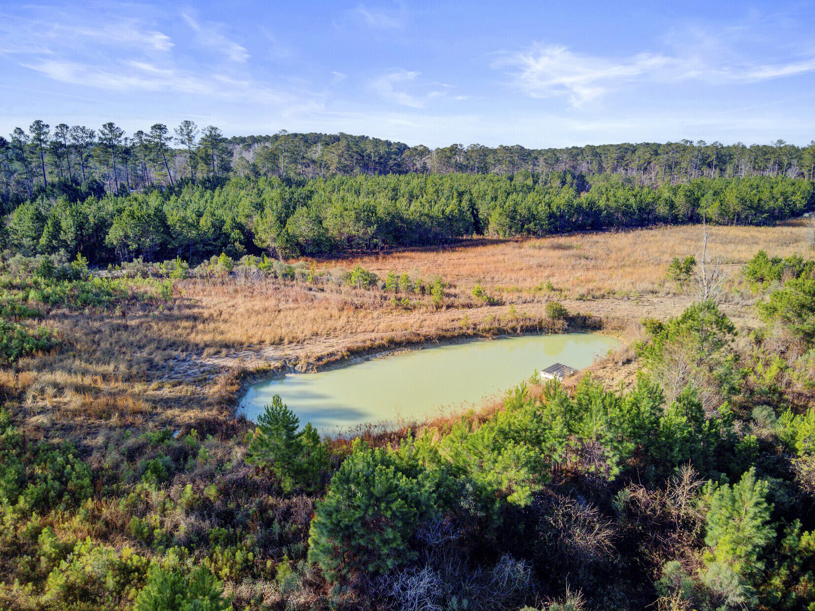 0 Hill Branch Road Ridgeville, SC 29472 - Photo 7 of 9 Aerial View