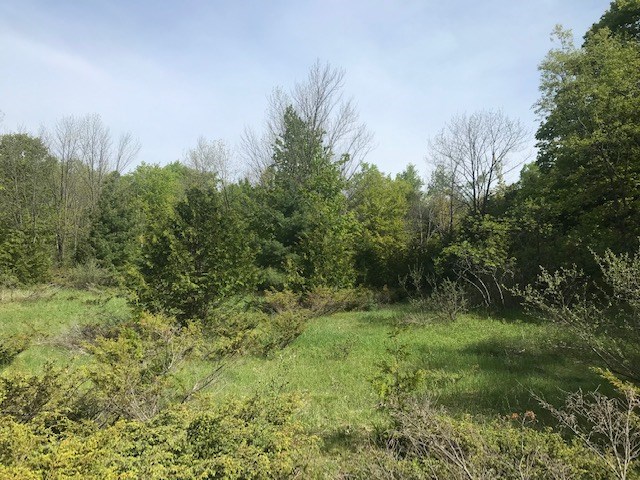 Lot 2 West Meadow Road Fish Creek, WI 54212 - Photo 29 of 40