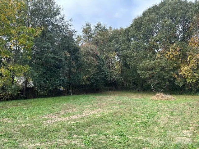 a view of a green yard