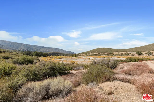 a view of a yard with trees