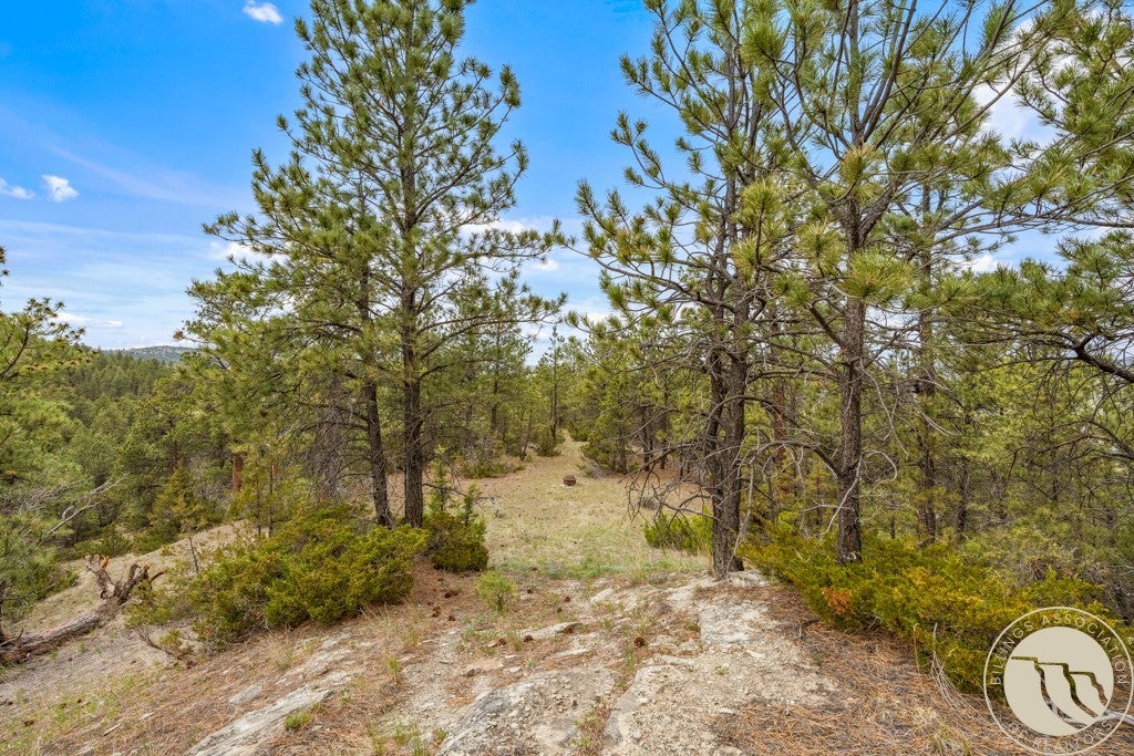 5 Appaloosa Rdg Road Reed Point, MT 59069 - Photo 14 of 34 Gallery Image 14