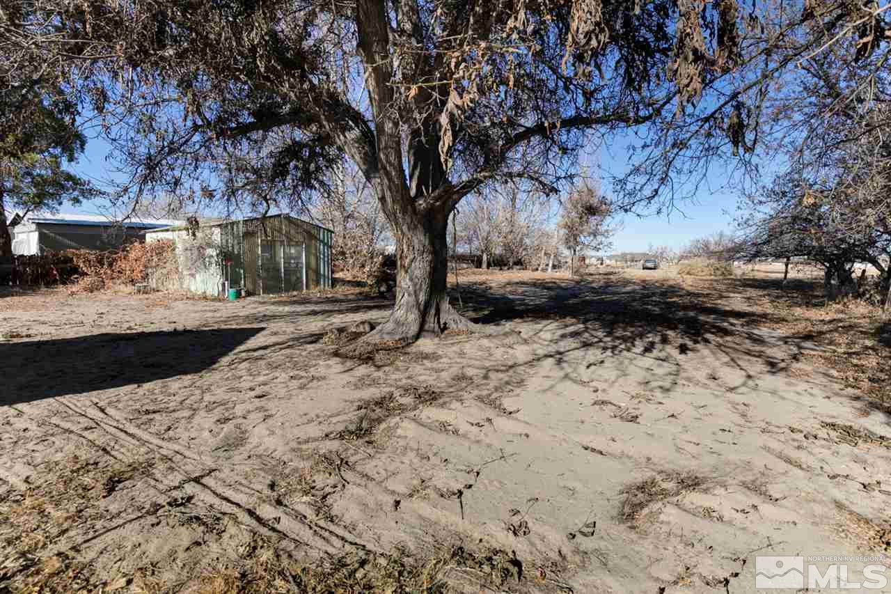 4320 Reno Highway Fallon, NV 89406 - Photo 27 of 28 a view of a backyard of the house