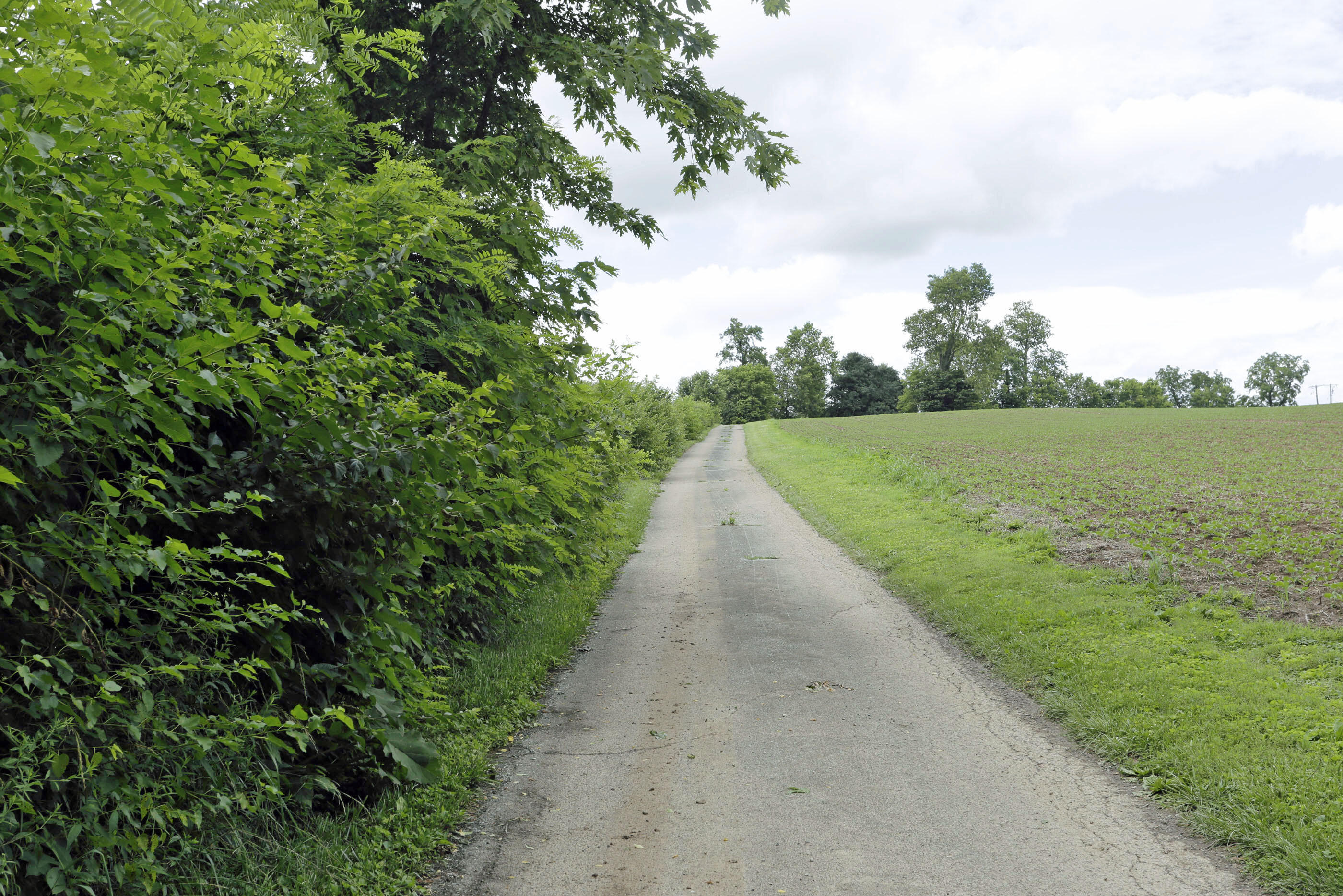 2750 Paynes Mill Road Versailles, KY 40383 - Photo 16 of 26 2750 Paynes Mill - 022
