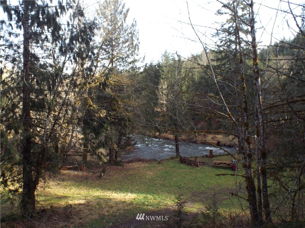 143 Hadaller Road Mossyrock, WA 98564 - Photo 2 of 15 Gallery Image 2