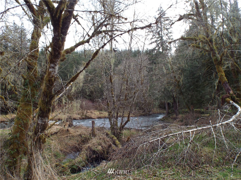 143 Hadaller Road Mossyrock, WA 98564 - Photo 13 of 15 Gallery Image 13