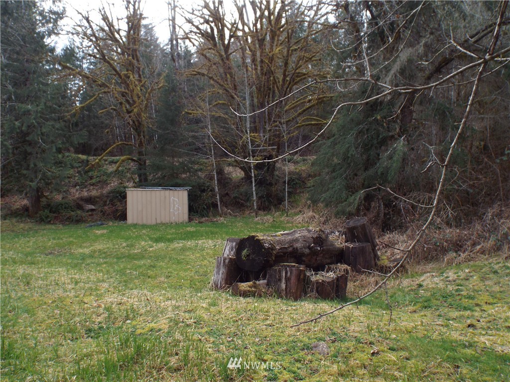 143 Hadaller Road Mossyrock, WA 98564 - Photo 14 of 15 Gallery Image 14