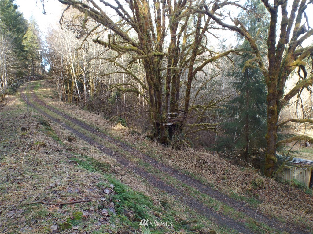 143 Hadaller Road Mossyrock, WA 98564 - Photo 5 of 15 Gallery Image 5