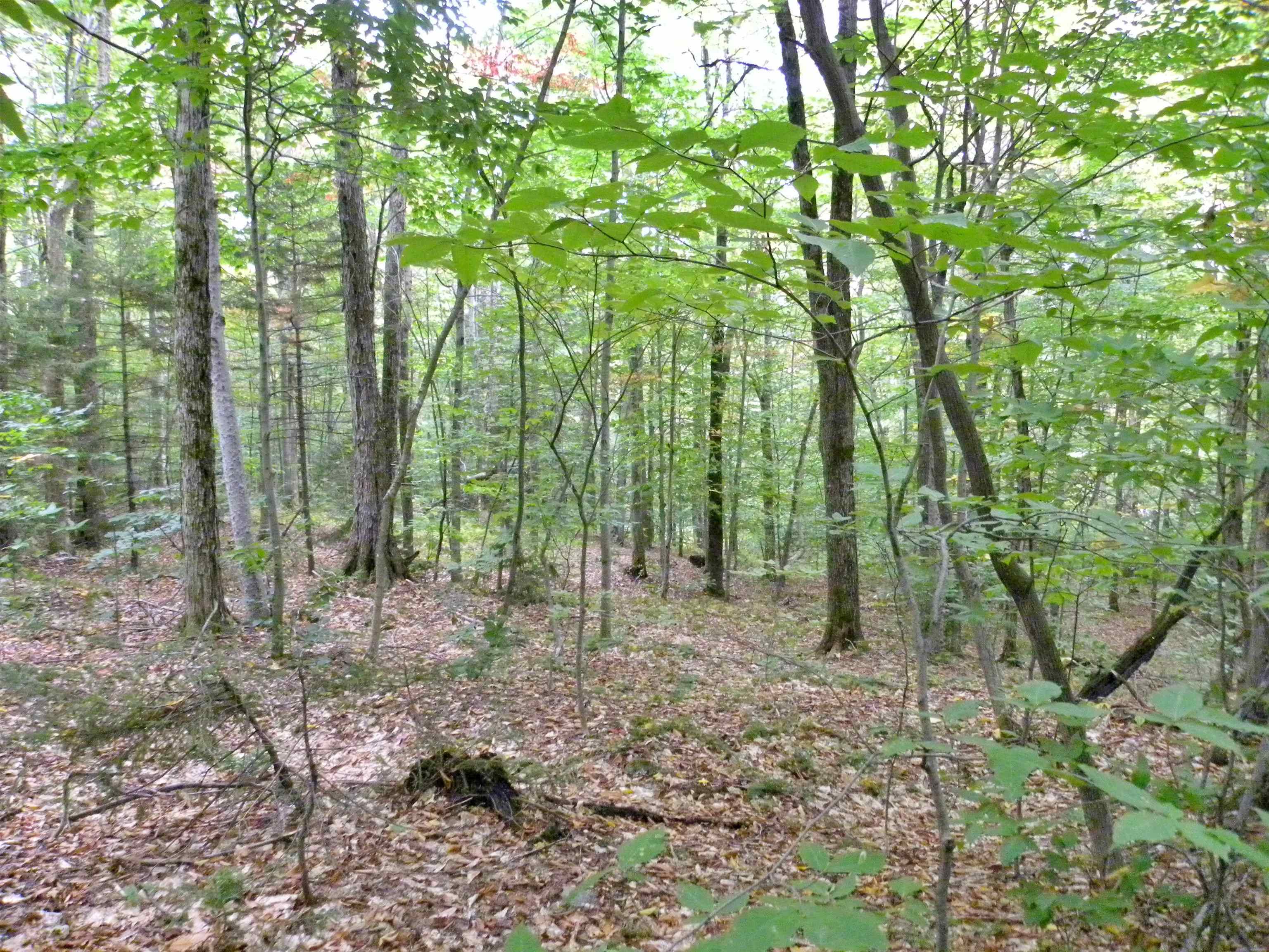 600 Amos Road Jay, VT 05859 - Photo 7 of 9 Gallery Image 7