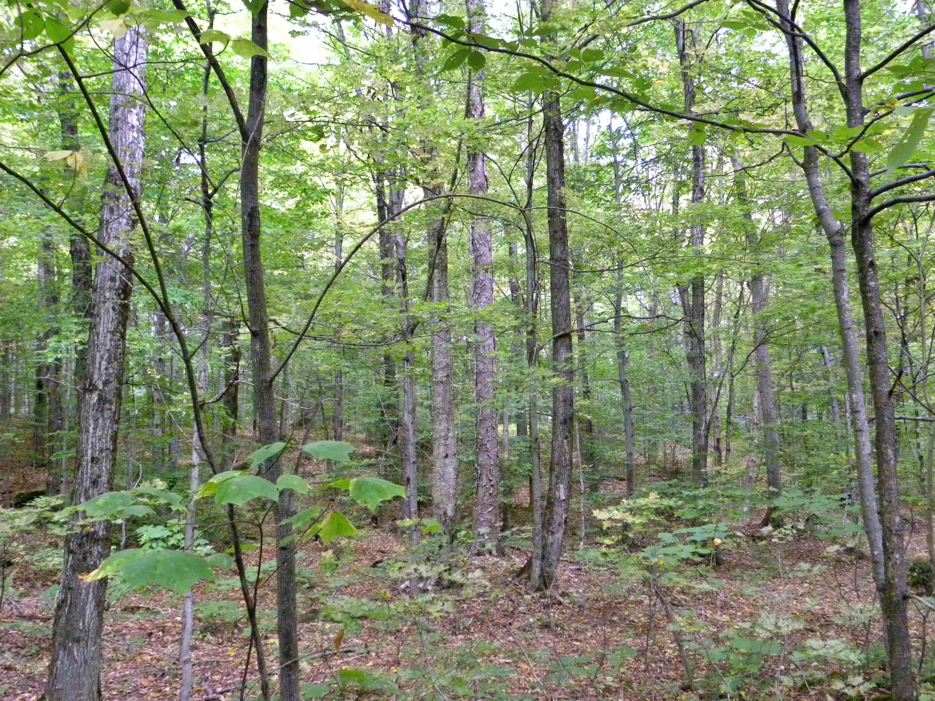 600 Amos Road Jay, VT 05859 - Photo 8 of 9 Gallery Image 8