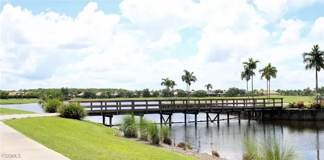 a view of a park with palm trees