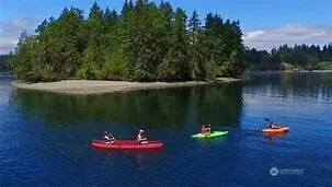 a view of a fire pit with large trees